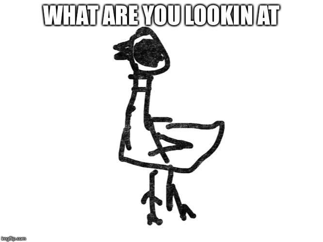 Ugly pigeon | WHAT ARE YOU LOOKIN AT | image tagged in ugly pigeon | made w/ Imgflip meme maker