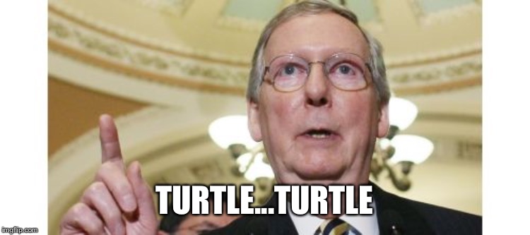 Turtle...Turtle | TURTLE...TURTLE | image tagged in memes,mitch mcconnell | made w/ Imgflip meme maker