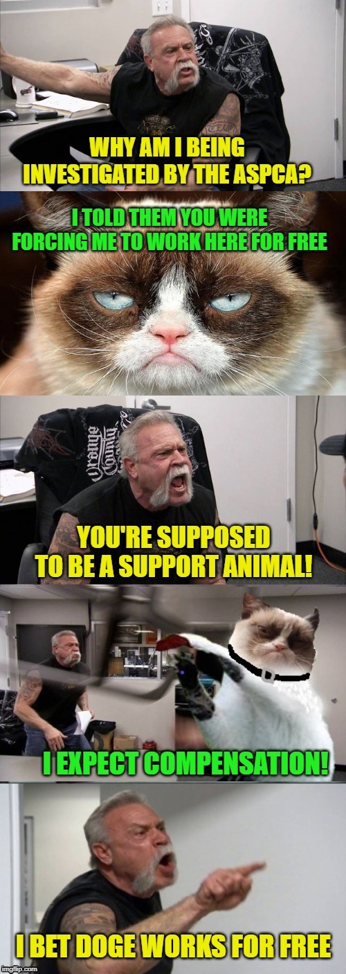 Support group | image tagged in memes,grumpy cat,american chopper argument | made w/ Imgflip meme maker