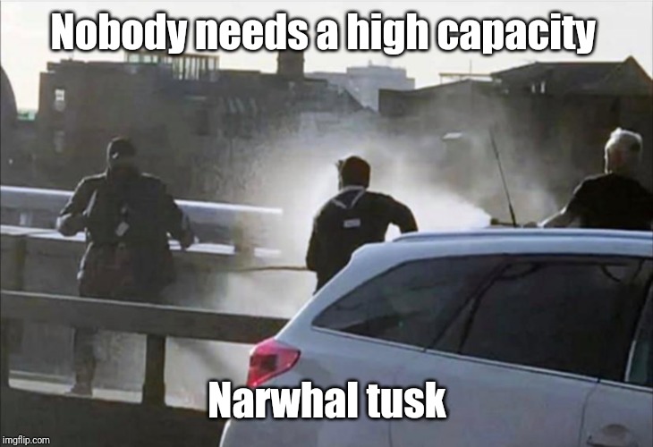 F*ck You I'm Narwhal | Nobody needs a high capacity; Narwhal tusk | image tagged in fck you i'm narwhal | made w/ Imgflip meme maker