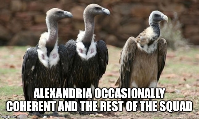 AOC | ALEXANDRIA OCCASIONALLY COHERENT AND THE REST OF THE SQUAD | image tagged in vulture politicians | made w/ Imgflip meme maker