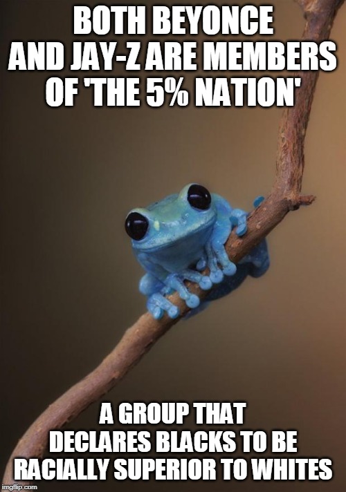 They're both pieces of shit. | BOTH BEYONCE AND JAY-Z ARE MEMBERS OF 'THE 5% NATION'; A GROUP THAT DECLARES BLACKS TO BE RACIALLY SUPERIOR TO WHITES | image tagged in small fact frog,beyonce,jay z | made w/ Imgflip meme maker