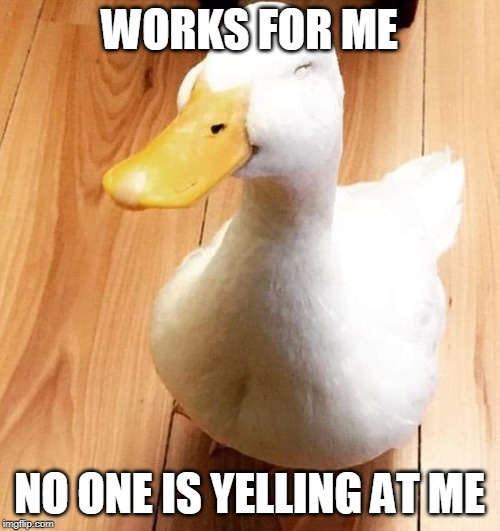 SMILE DUCK | WORKS FOR ME NO ONE IS YELLING AT ME | image tagged in smile duck | made w/ Imgflip meme maker