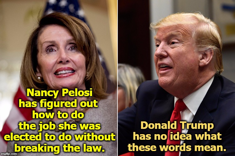 The difference is she knows what she's doing. | Nancy Pelosi has figured out 
how to do 
the job she was elected to do without breaking the law. Donald Trump has no idea what these words mean. | image tagged in nancy pelosi,trump,law,constitution | made w/ Imgflip meme maker