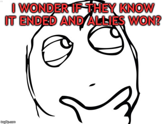 Question Rage Face Meme | I WONDER IF THEY KNOW IT ENDED AND ALLIES WON? | image tagged in memes,question rage face | made w/ Imgflip meme maker