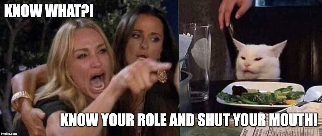 woman yelling at cat | KNOW WHAT?! KNOW YOUR ROLE AND SHUT YOUR MOUTH! | image tagged in woman yelling at cat | made w/ Imgflip meme maker