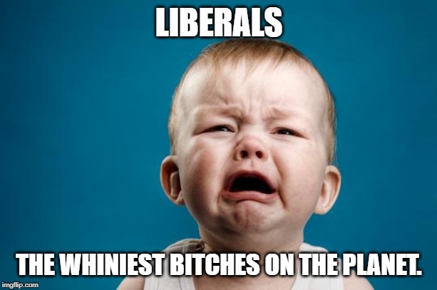 BABY CRYING | LIBERALS THE WHINIEST B**CHES ON THE PLANET. | image tagged in baby crying | made w/ Imgflip meme maker