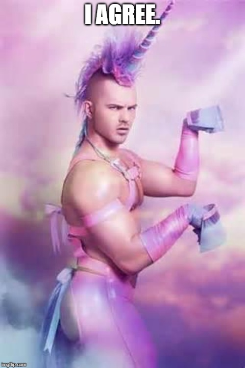 Gay Unicorn | I AGREE. | image tagged in gay unicorn | made w/ Imgflip meme maker