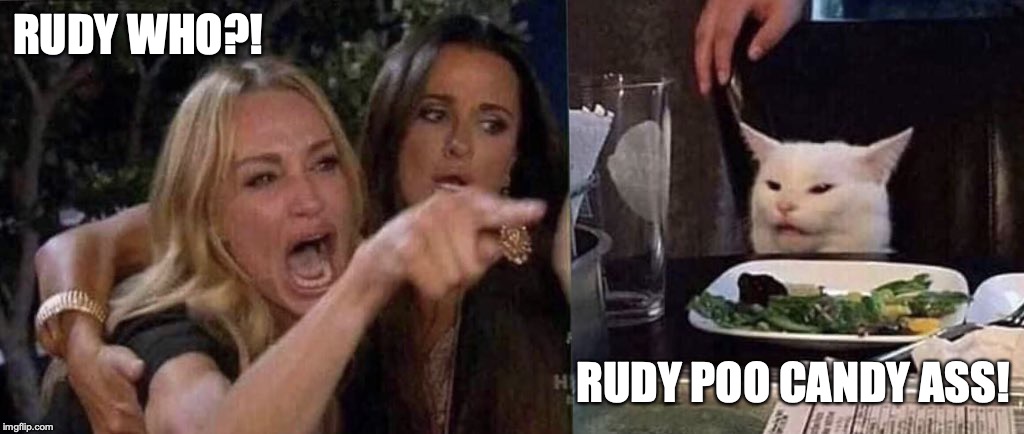 woman yelling at cat | RUDY WHO?! RUDY POO CANDY ASS! | image tagged in woman yelling at cat | made w/ Imgflip meme maker