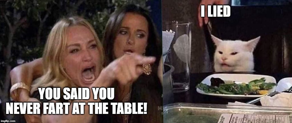 woman yelling at cat | I LIED; YOU SAID YOU NEVER FART AT THE TABLE! | image tagged in woman yelling at cat | made w/ Imgflip meme maker