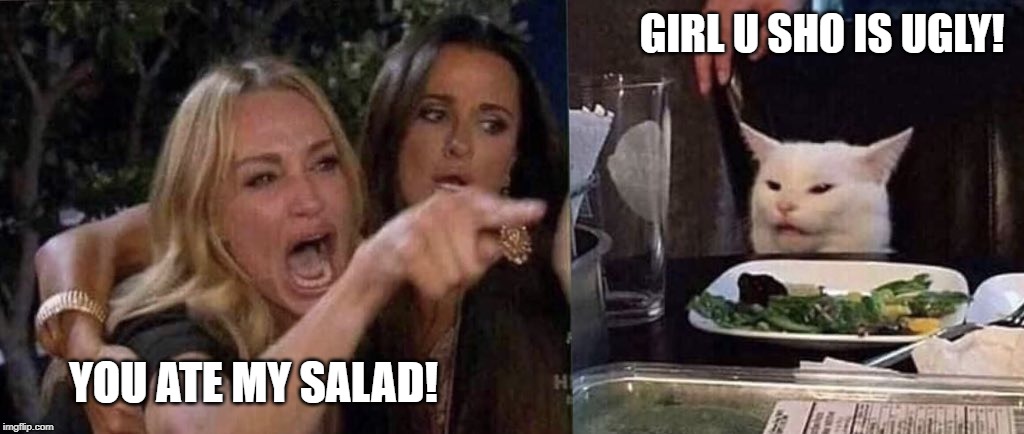 woman yelling at cat | GIRL U SHO IS UGLY! YOU ATE MY SALAD! | image tagged in woman yelling at cat | made w/ Imgflip meme maker