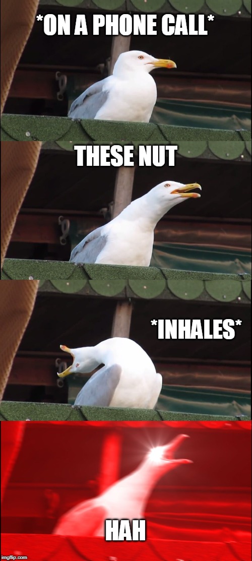 Inhaling Seagull | *ON A PHONE CALL*; THESE NUT; *INHALES*; HAH | image tagged in memes,inhaling seagull | made w/ Imgflip meme maker