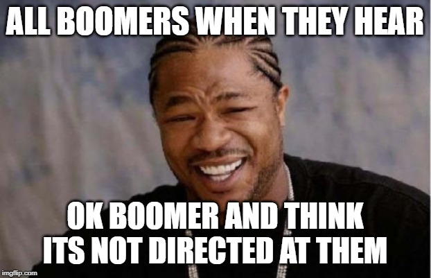 Yo Dawg Heard You | ALL BOOMERS WHEN THEY HEAR; OK BOOMER AND THINK ITS NOT DIRECTED AT THEM | image tagged in memes,yo dawg heard you | made w/ Imgflip meme maker
