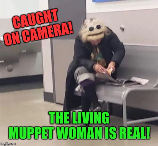 Muppet Woman | CAUGHT ON CAMERA! THE LIVING MUPPET WOMAN IS REAL! | image tagged in muppet,woman,caught,for real | made w/ Imgflip meme maker
