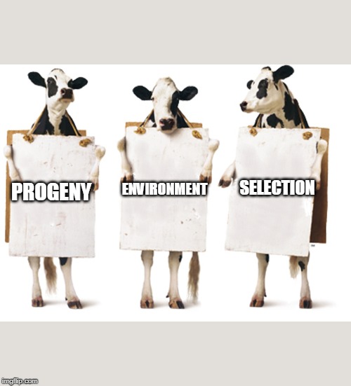 Chick-fil-A 3-cow billboard | ENVIRONMENT; SELECTION; PROGENY | image tagged in chick-fil-a 3-cow billboard | made w/ Imgflip meme maker