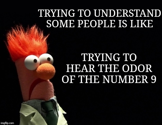 Mainly those on ImgFlip | TRYING TO UNDERSTAND SOME PEOPLE IS LIKE; TRYING TO HEAR THE ODOR OF THE NUMBER 9 | image tagged in beaker,imgflip,meme,beyondthecomments,weird people | made w/ Imgflip meme maker