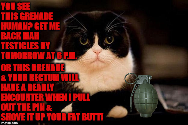 RECTAL GRENADE | YOU SEE THIS GRENADE HUMAN? GET ME BACK MAH TESTICLES BY TOMORROW AT 6 P.M. OR THIS GRENADE & YOUR RECTUM WILL HAVE A DEADLY ENCOUNTER WHEN I PULL OUT THE PIN & SHOVE IT UP YOUR FAT BUTT! | image tagged in rectal grenade | made w/ Imgflip meme maker