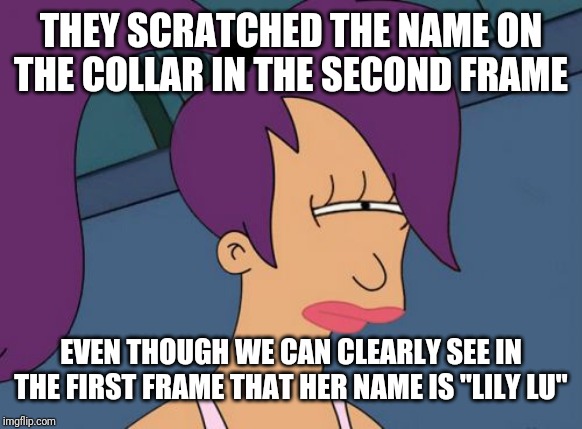 Futurama Leela Meme | THEY SCRATCHED THE NAME ON THE COLLAR IN THE SECOND FRAME EVEN THOUGH WE CAN CLEARLY SEE IN THE FIRST FRAME THAT HER NAME IS "LILY LU" | image tagged in memes,futurama leela | made w/ Imgflip meme maker