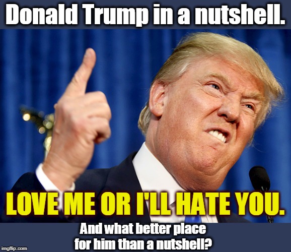 The most fragile ego in the world. | Donald Trump in a nutshell. LOVE ME OR I'LL HATE YOU. And what better place for him than a nutshell? | image tagged in donald trump,trump,love,hate,nutjob,insult | made w/ Imgflip meme maker