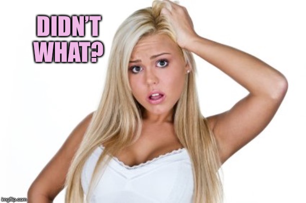 Dumb Blonde | DIDN’T WHAT? | image tagged in dumb blonde | made w/ Imgflip meme maker