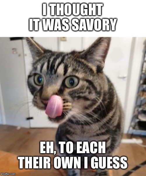 Cat licking itself | I THOUGHT IT WAS SAVORY EH, TO EACH THEIR OWN I GUESS | image tagged in cat licking itself | made w/ Imgflip meme maker