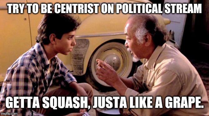 Far left and right, why u no drive into ditch? | TRY TO BE CENTRIST ON POLITICAL STREAM; GETTA SQUASH, JUSTA LIKE A GRAPE. | image tagged in mr miyagi version control,leftist,right wing,liberal,conservative,centrist | made w/ Imgflip meme maker