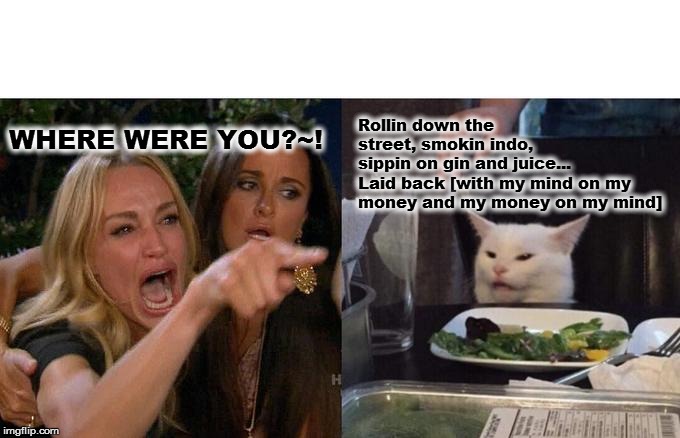 Woman Yelling At Cat | Rollin down the street, smokin indo, 
sippin on gin and juice...
Laid back [with my mind on my money and my money on my mind]; WHERE WERE YOU?~! | image tagged in memes,woman yelling at cat | made w/ Imgflip meme maker