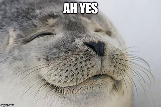 Satisfied Seal Meme | AH YES | image tagged in memes,satisfied seal | made w/ Imgflip meme maker