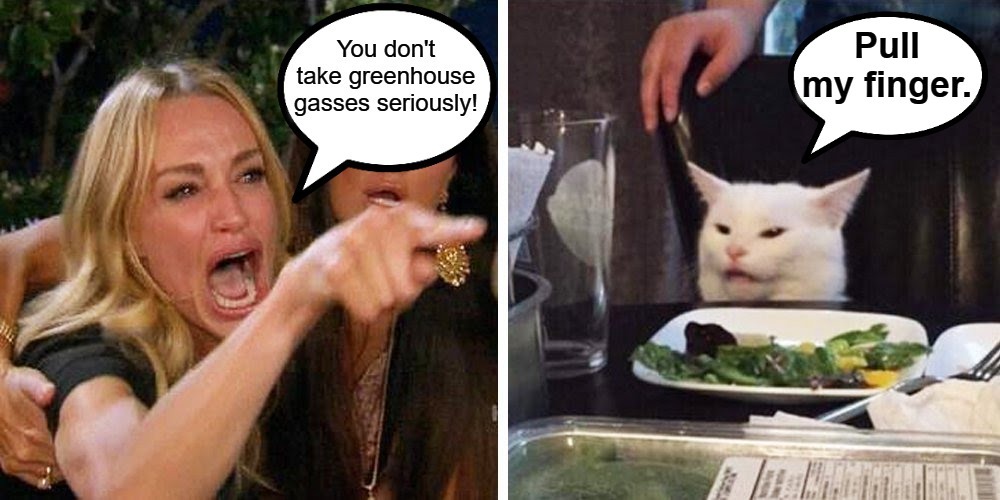 You don't take greenhouse gasses seriously! | image tagged in smudge the cat,greenhouse gasses,pull my finger,woman yelling at a cat | made w/ Imgflip meme maker