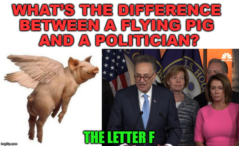 Sure are lying | WHAT’S THE DIFFERENCE 
BETWEEN A FLYING PIG 
AND A POLITICIAN? THE LETTER F | image tagged in flying pig,democrat congressmen | made w/ Imgflip meme maker