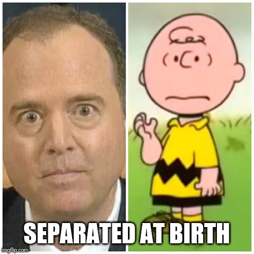 SEPARATED AT BIRTH | made w/ Imgflip meme maker