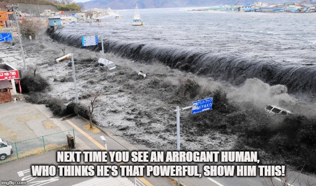 Tsunami | NEXT TIME YOU SEE AN ARROGANT HUMAN, WHO THINKS HE'S THAT POWERFUL, SHOW HIM THIS! | image tagged in tsunami,tidal wave,ocean,earthquake,leviathan,sea | made w/ Imgflip meme maker