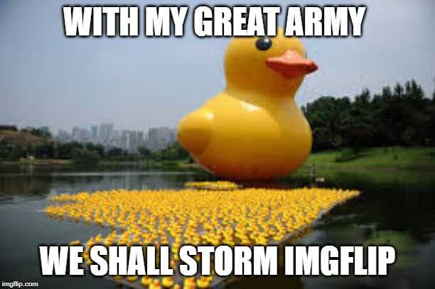 an army of rubber ducks - Imgflip