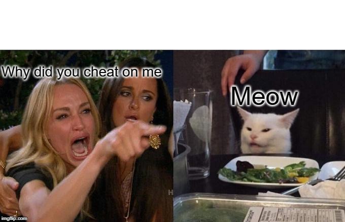 Woman Yelling At Cat Meme | Why did you cheat on me Meow | image tagged in memes,woman yelling at cat | made w/ Imgflip meme maker