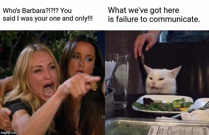 Woman Yelling At Cat | Who's Barbara?!?!? You said I was your one and only!!! What we've got here is failure to communicate. | image tagged in memes,woman yelling at cat | made w/ Imgflip meme maker