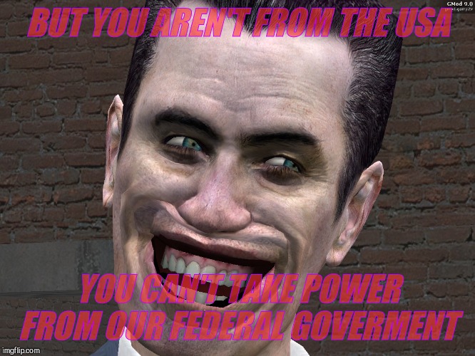 . | BUT YOU AREN'T FROM THE USA YOU CAN'T TAKE POWER FROM OUR FEDERAL GOVERMENT | image tagged in g-man from half-life | made w/ Imgflip meme maker