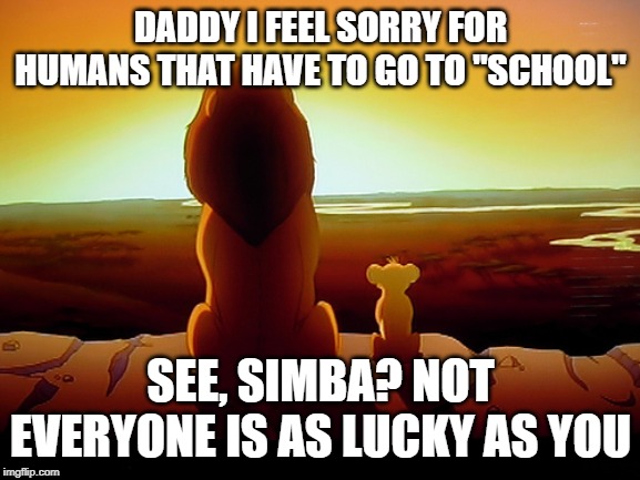 Lion King Meme | DADDY I FEEL SORRY FOR HUMANS THAT HAVE TO GO TO "SCHOOL"; SEE, SIMBA? NOT EVERYONE IS AS LUCKY AS YOU | image tagged in memes,lion king | made w/ Imgflip meme maker