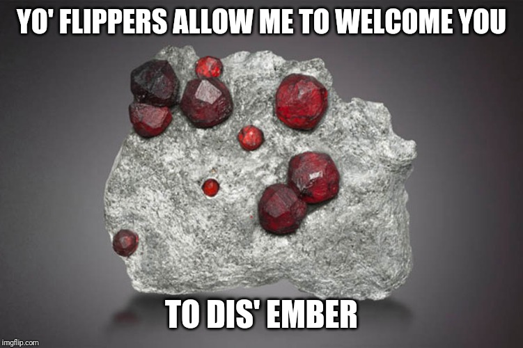 Have a great start everyone! Let's -rock- this last month as well!! | YO' FLIPPERS ALLOW ME TO WELCOME YOU; TO DIS' EMBER | image tagged in rock,pun,ember,dicember | made w/ Imgflip meme maker