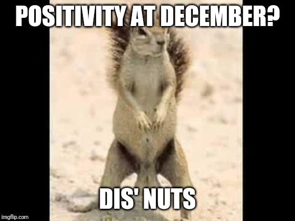 Squirrel nuts | POSITIVITY AT DECEMBER? DIS' NUTS | image tagged in squirrel nuts | made w/ Imgflip meme maker