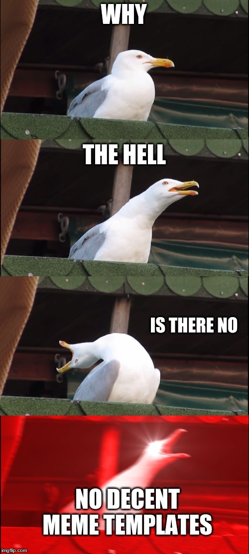 Inhaling Seagull | WHY; THE HELL; IS THERE NO; NO DECENT MEME TEMPLATES | image tagged in memes,inhaling seagull | made w/ Imgflip meme maker