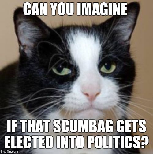 Too much cat | CAN YOU IMAGINE IF THAT SCUMBAG GETS ELECTED INTO POLITICS? | image tagged in too much cat | made w/ Imgflip meme maker