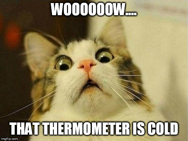 Scared Cat | WOOOOOOW.... THAT THERMOMETER IS COLD | image tagged in memes,scared cat | made w/ Imgflip meme maker