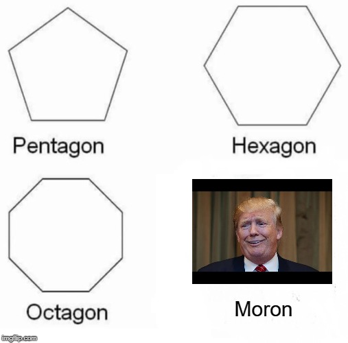 dipshit | Moron | image tagged in memes,pentagon hexagon octagon | made w/ Imgflip meme maker
