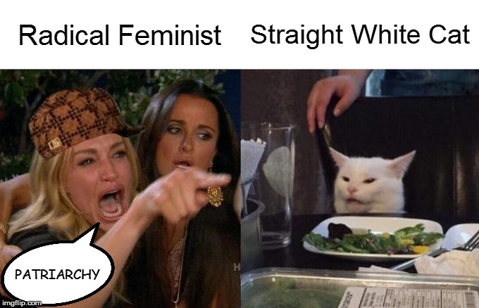 Woman Yelling At Cat | Straight White Cat; Radical Feminist; PATRIARCHY | image tagged in memes,woman yelling at cat | made w/ Imgflip meme maker