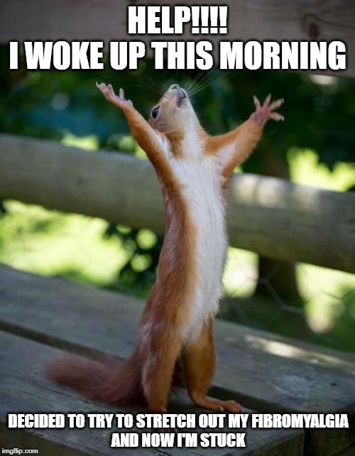 Happy Squirrel | HELP!!!!
I WOKE UP THIS MORNING; DECIDED TO TRY TO STRETCH OUT MY FIBROMYALGIA
AND NOW I'M STUCK | image tagged in happy squirrel | made w/ Imgflip meme maker