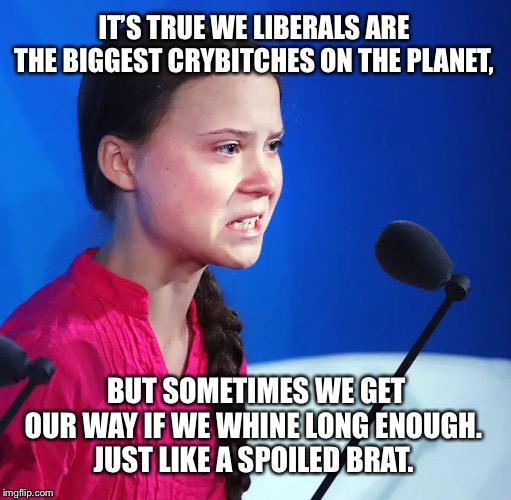 Ecofascist Greta Thunberg | IT’S TRUE WE LIBERALS ARE THE BIGGEST CRYB**CHES ON THE PLANET, BUT SOMETIMES WE GET OUR WAY IF WE WHINE LONG ENOUGH.
JUST LIKE A SPOILED BR | image tagged in ecofascist greta thunberg | made w/ Imgflip meme maker
