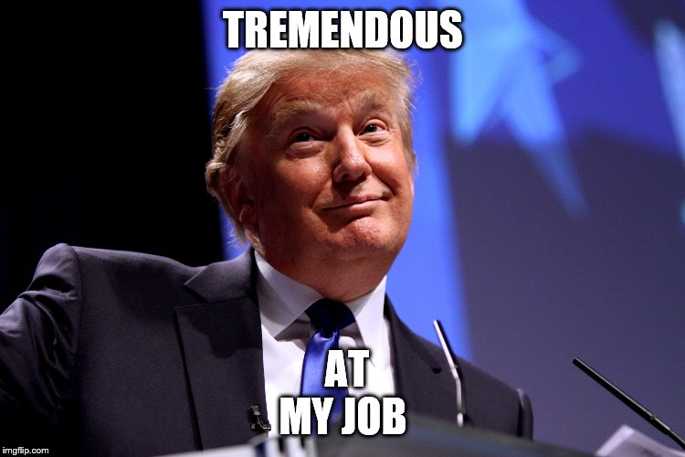 Donald Trump No2 | TREMENDOUS; AT MY JOB | image tagged in donald trump no2 | made w/ Imgflip meme maker