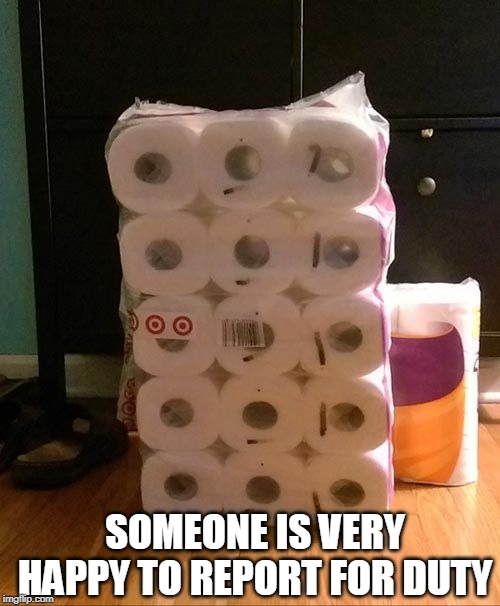 THAT ONE ROLL IS READY FOR ACTION | SOMEONE IS VERY HAPPY TO REPORT FOR DUTY | image tagged in toilet paper,toilet humor | made w/ Imgflip meme maker