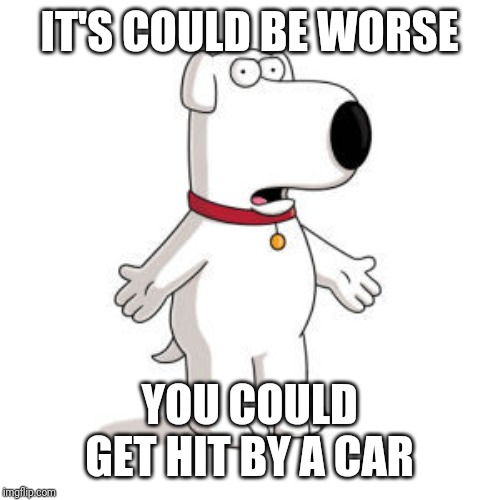 Family Guy Brian Meme | IT'S COULD BE WORSE YOU COULD GET HIT BY A CAR | image tagged in memes,family guy brian | made w/ Imgflip meme maker