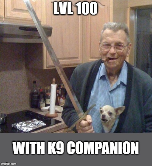 WHEN YOU REACH LVL 100 | LVL 100; WITH K9 COMPANION | image tagged in level expert,gaming | made w/ Imgflip meme maker